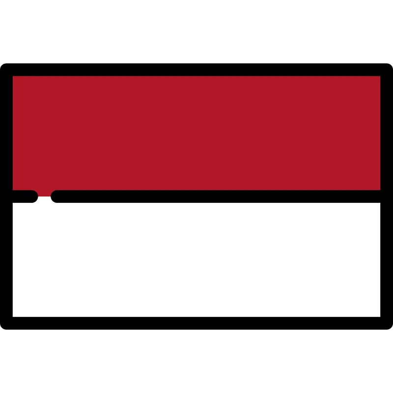 airline logo